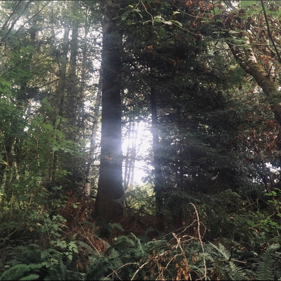 🌸🕸 Meet Your Posher, Hannah - Picture 2 of 2